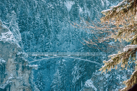 Från Hohenschwangau: Tur till slottet Neuschwanstein