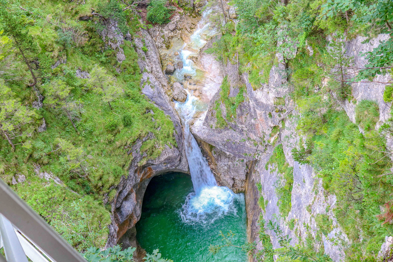 Från Hohenschwangau: Tur till slottet Neuschwanstein