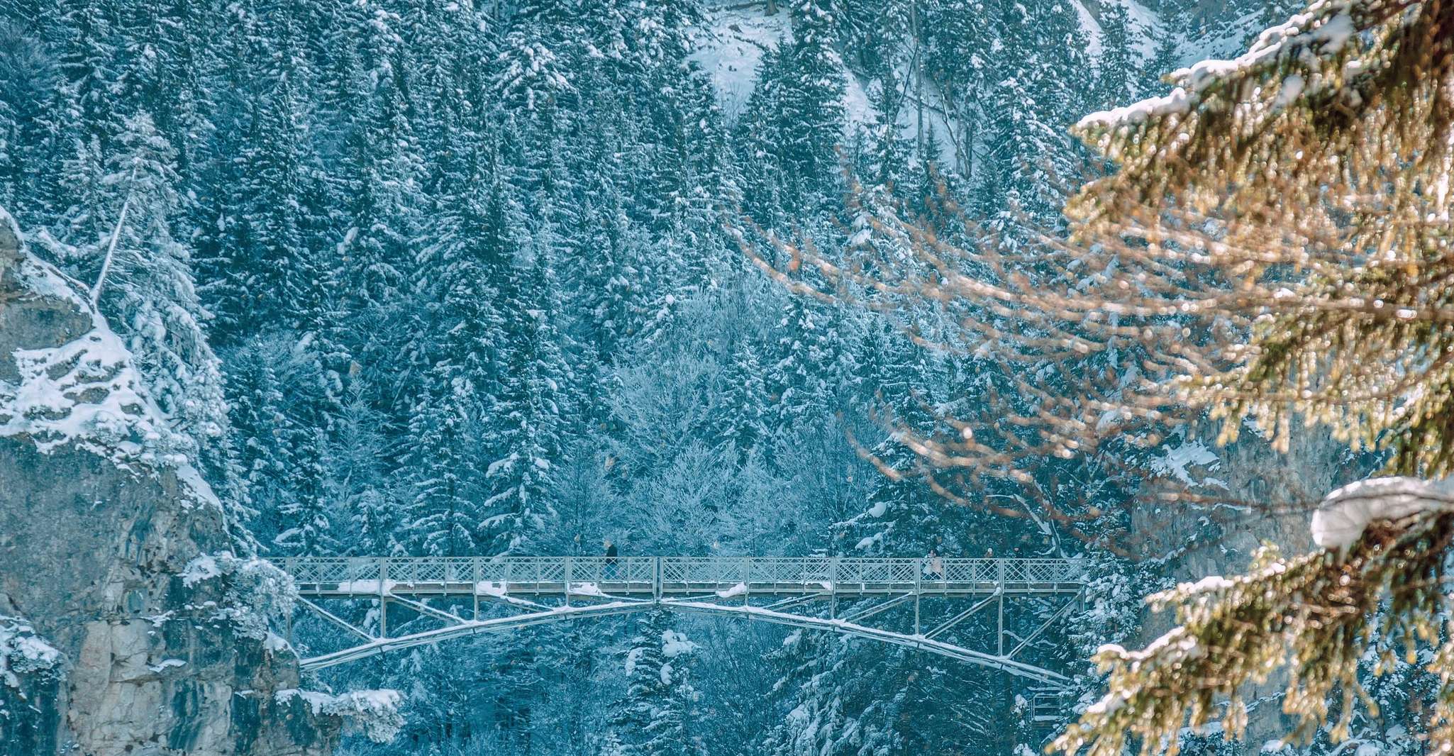 From Munich: Trip to Neuschwanstein & Linderhof in Spanish photo 7