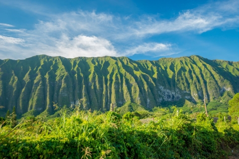 Oahu: Best of Hawaii Photography Tour vanuit Waikiki