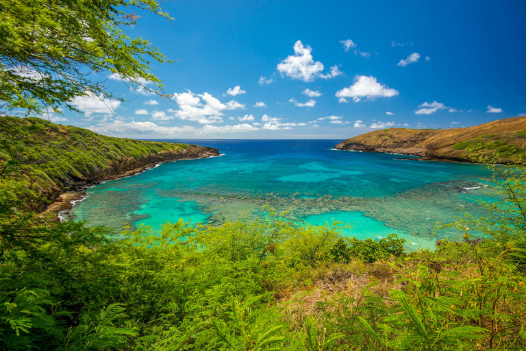 Oahu: tour fotográfico de lo mejor de Hawái desde Waikiki