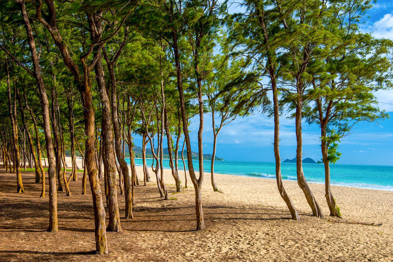 Da Waikiki: Il meglio di Oahu: tour fotografico con prelievoDa Waikiki: Tour fotografico del meglio di Oahu con prelievo