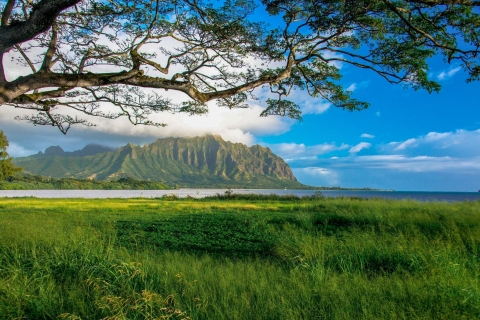 Oahu: 10 heures de visite au lever du soleil et aux points de vue panoramiques