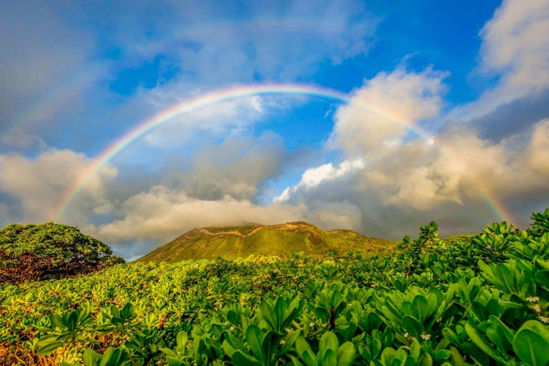 Oahu: recorrido fotográfico de 10 horas de salida del sol y vistas panorámicasOahu: Recorrido fotográfico de 10 horas de salida del sol y vistas panorámicas