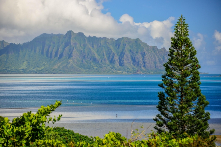 Oahu: 10 heures de visite au lever du soleil et aux points de vue panoramiques