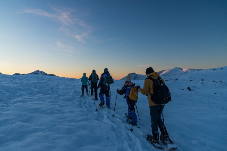 From Tromso: Small-group Snowshoeing Tour