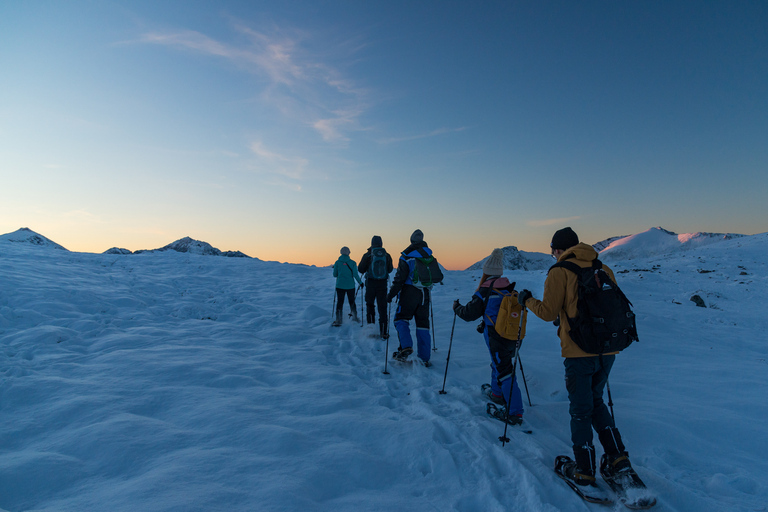 From Tromsø: Snowshoeing Hike with Picnic Lunch and Photos