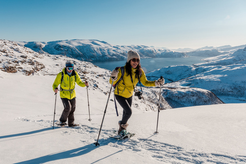 Desde Tromso: Tour de raquetas de nieve para grupos pequeños