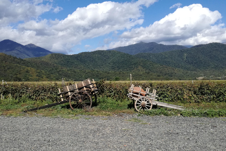 Tbilisi: regionale wijntour in Georgië