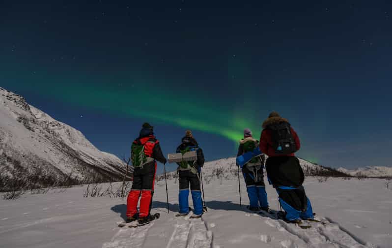 From Tromsø Night Snowshoeing Tour GetYourGuide