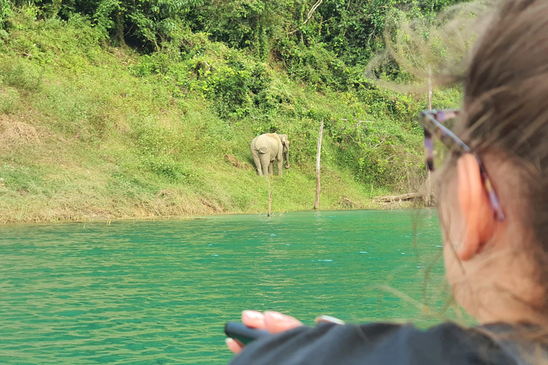 Phuket or Anywhere: Private Boat Cheow Lan Lake>Diamond Cave Option 2: From Krabi with Roundtrip Hotel Transfer