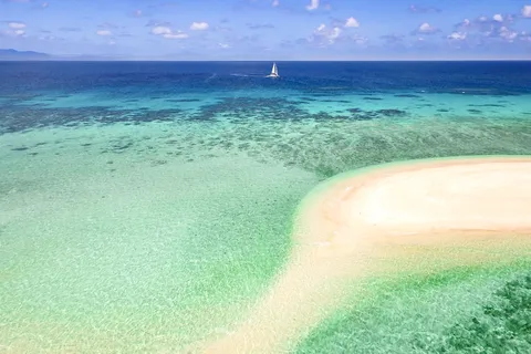 From Port Douglas: Outer Reef Cruise by Luxury Catamaran