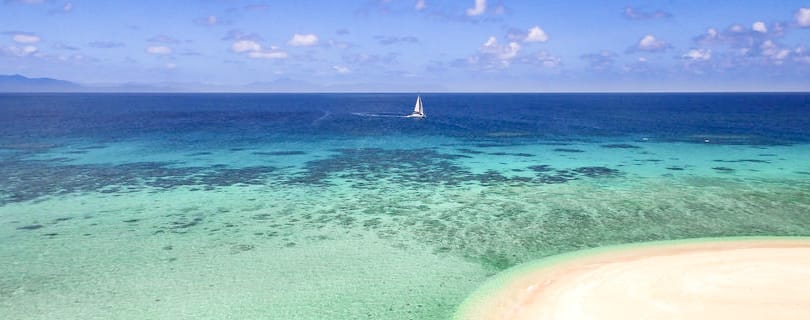 Depuis Port Douglas : croisière en catamaran de luxe sur la barrière de corail