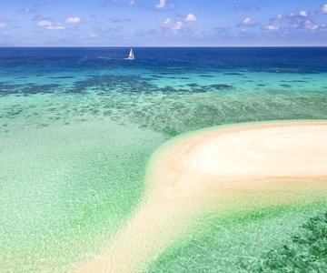 From Port Douglas: Outer Reef Cruise by Luxury Catamaran