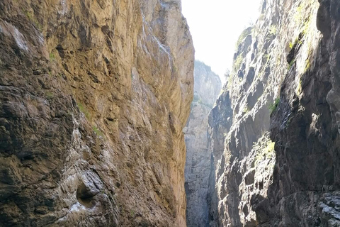 Interlaken: Grindelwald and Glacier Gorge Private Tour