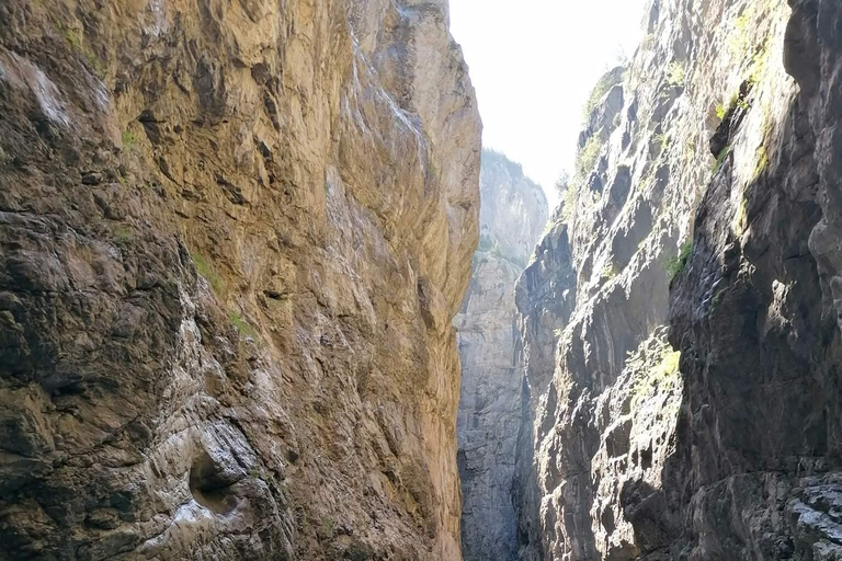 Interlaken: Grindelwald and Glacier Gorge Private Tour