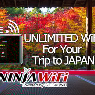 Japan: Mobile WiFi Router 4G LTE-Delivery