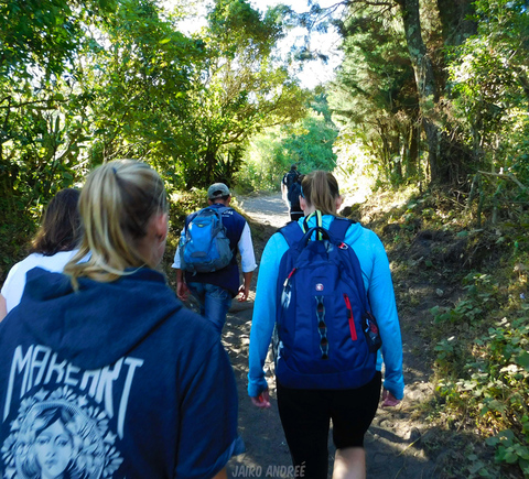 Wandeltochten