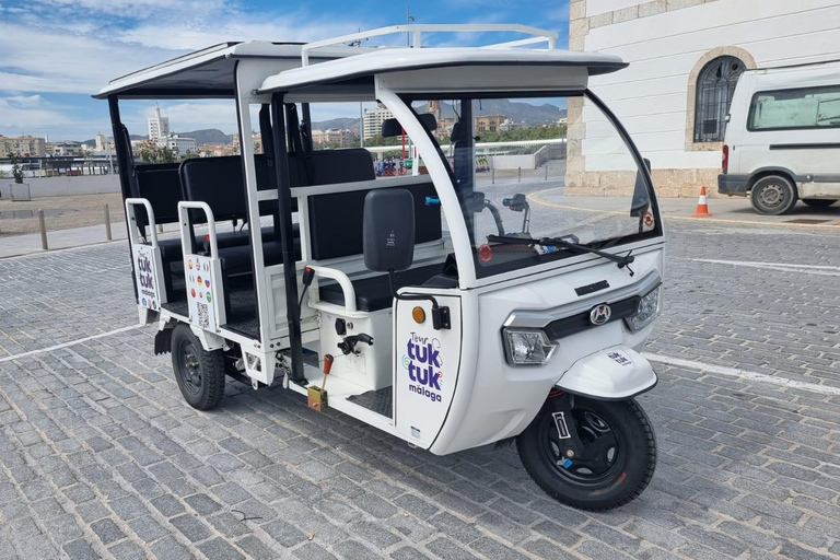 Tour TukTuk Málaga Malaga: Tour en TukTuk 1 Hora