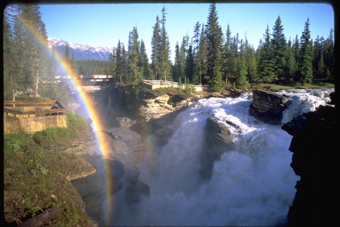 Banff or Lake Louise to Jasper: One-Way Sightseeing Tour Banff to Jasper: One-Way Tour