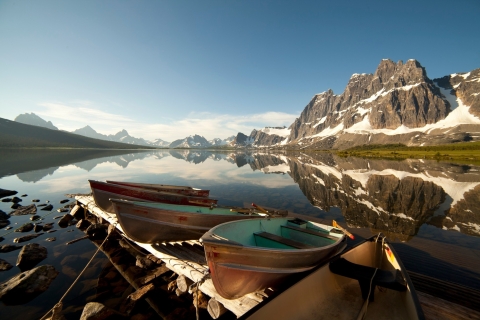 Banff o Lake Louise a Jasper: tour turístico de idaBanff a Jasper: tour de ida