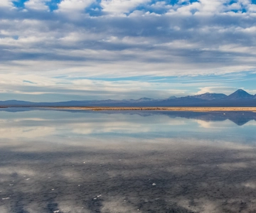 Piedras Rojas, Altiplanics Lagoons & Salar Full-Day Tour