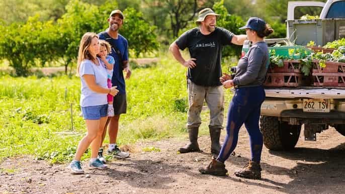 oahu excursão fazenda a floresta exclusiva com pickup