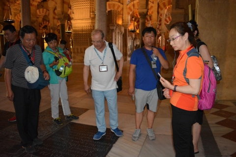 Cordoba: Early Bird Private Tour of the Mosque-Cathedral Mosque-Cathedral Private Tour in French