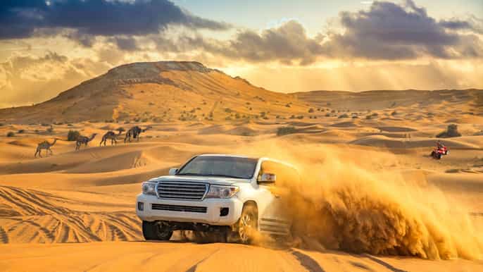 dubai desert safari camel ride sandboarding bbq options