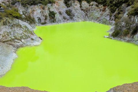 Rotorua : vallée géothermique de Wai-O-Tapu en petit groupe