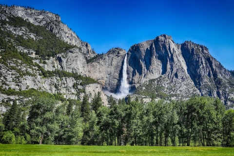 Desde San Francisco: tour de 2 días por el parque Yosemite de Cedar LodgeRecorrido por el hotel Cedar Lodge Yosemite (ocupación doble)