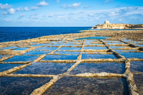 Gozo: Prywatna całodniowa wycieczka po wyspieOpcja standardowa