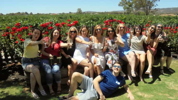patrimonio de la ciudad de guildford y swan valley wine tour