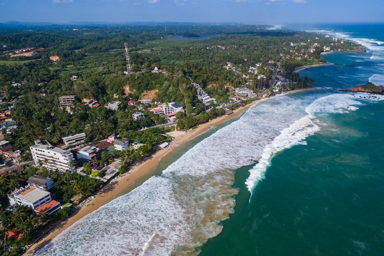 Observation de baleines de 2 jours et visite du sud du Sri Lanka