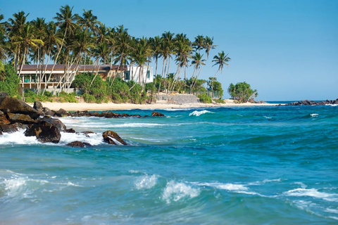 Tour di 2 giorni per l&#039;osservazione delle balene e lo Sri Lanka meridionale