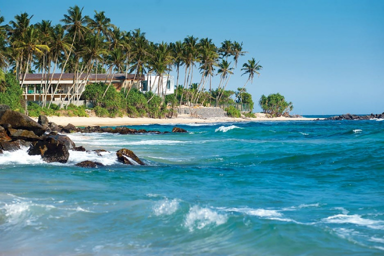 2 días de avistamiento de ballenas y sur de Sri Lanka