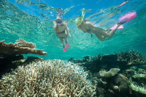 Outer Great Barrier Reef: Bootsfahrt und Hubschrauberflug