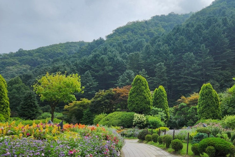 From Seoul: K-Drama Filming Tour: Garden of Morning Calm