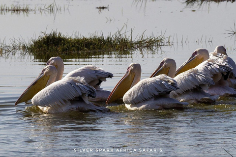 Nairobi: 5-Day Hell’s Gate, Lake Naivasha and Amboseli Parks 5-Day Hell's Gate, Lake Naivasha and Amboseli Parks