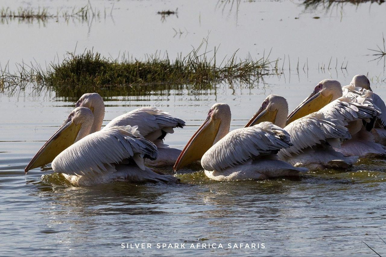 Nairobi: 5-Day Hell’s Gate, Lake Naivasha and Amboseli Parks 5-Day Hell's Gate, Lake Naivasha and Amboseli Parks