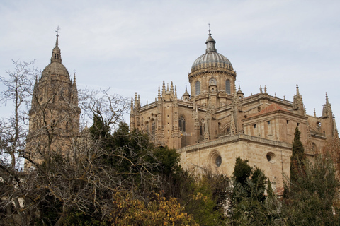 Vanuit Madrid: Dagtrip met gids naar Segovia, optioneel AlcázarSegovia ervaring met Alcázar