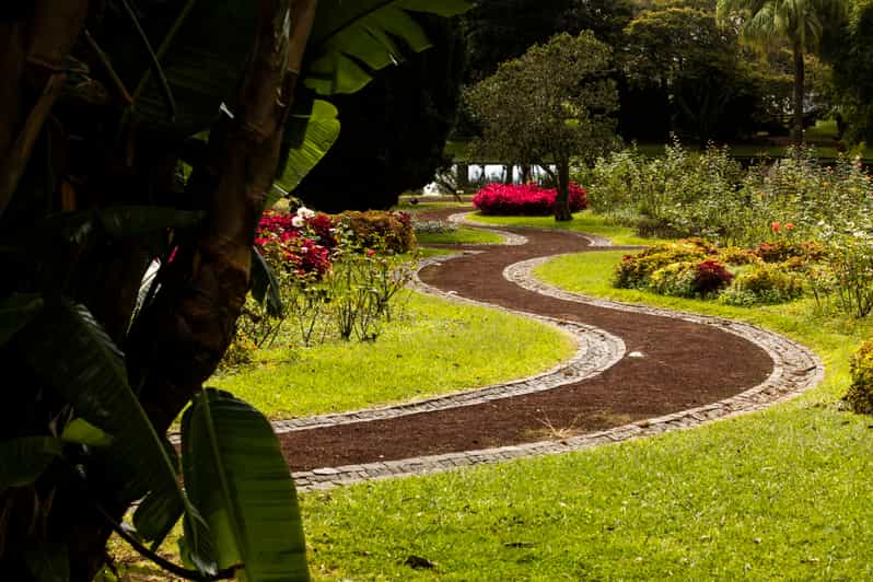 Ponta Delgada Rundgang mit Botanischem Garten GetYourGuide
