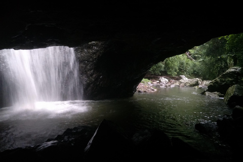 Costa de Ouro: Experiência com cangurus, floresta tropical e cachoeirasExcursão particular