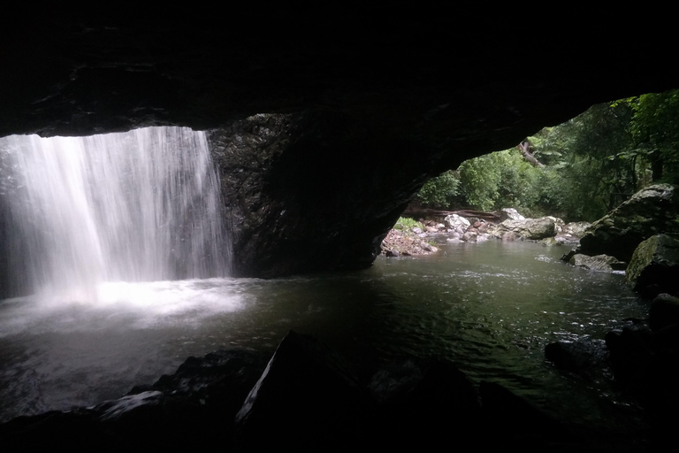 Goldküste: Kängurus, Regenwald und Wasserfälle erlebenPrivate Tour