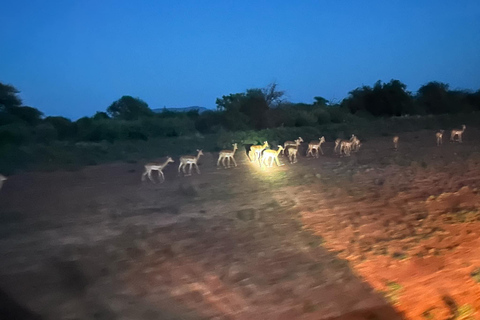 Mombasa: 3-Day Tsavo East/West & Kilimanjaro Views Safari