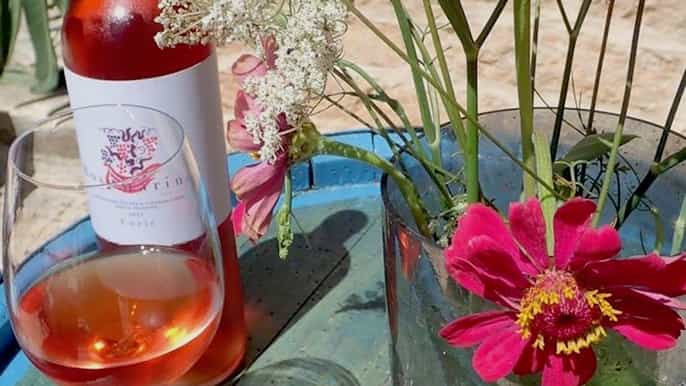 hvar wine tour + dalmatian dinner