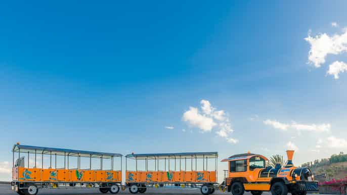 tenerife hop on hop off city bus and train tour