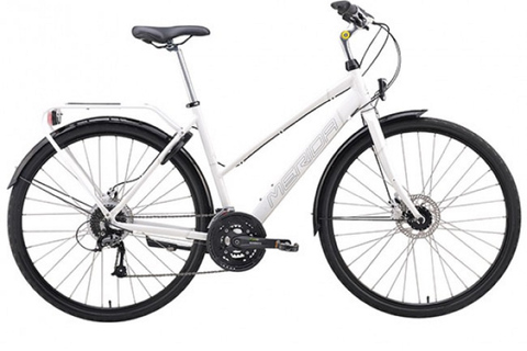 奥斯陆冬季精华 3 小时自行车之旅