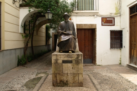Córdoba: tour a pie por el barrio judíoTour en francés