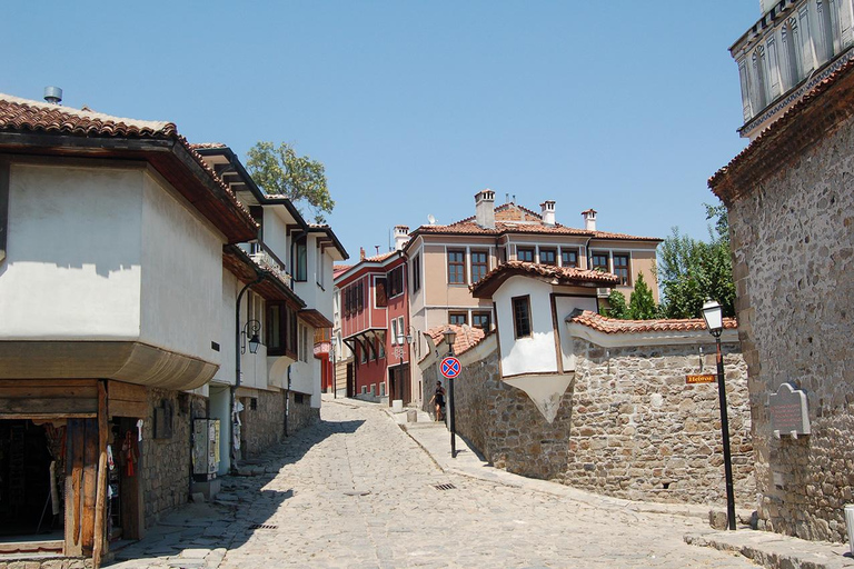 From Sofia: Plovdiv, Starosel, and Art Village Day Trip Spanish-guided tour